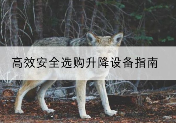 来凤升降货梯厂家推荐-*安全选购升降设备指南