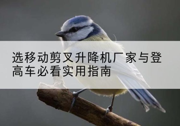 来凤电动升降机厂家-选移动剪叉升降机厂家与登高车必看实用指南