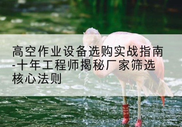 来凤剪叉式升降机厂家-高空作业设备选购实战指南-十年工程师揭秘厂家筛选核心法则